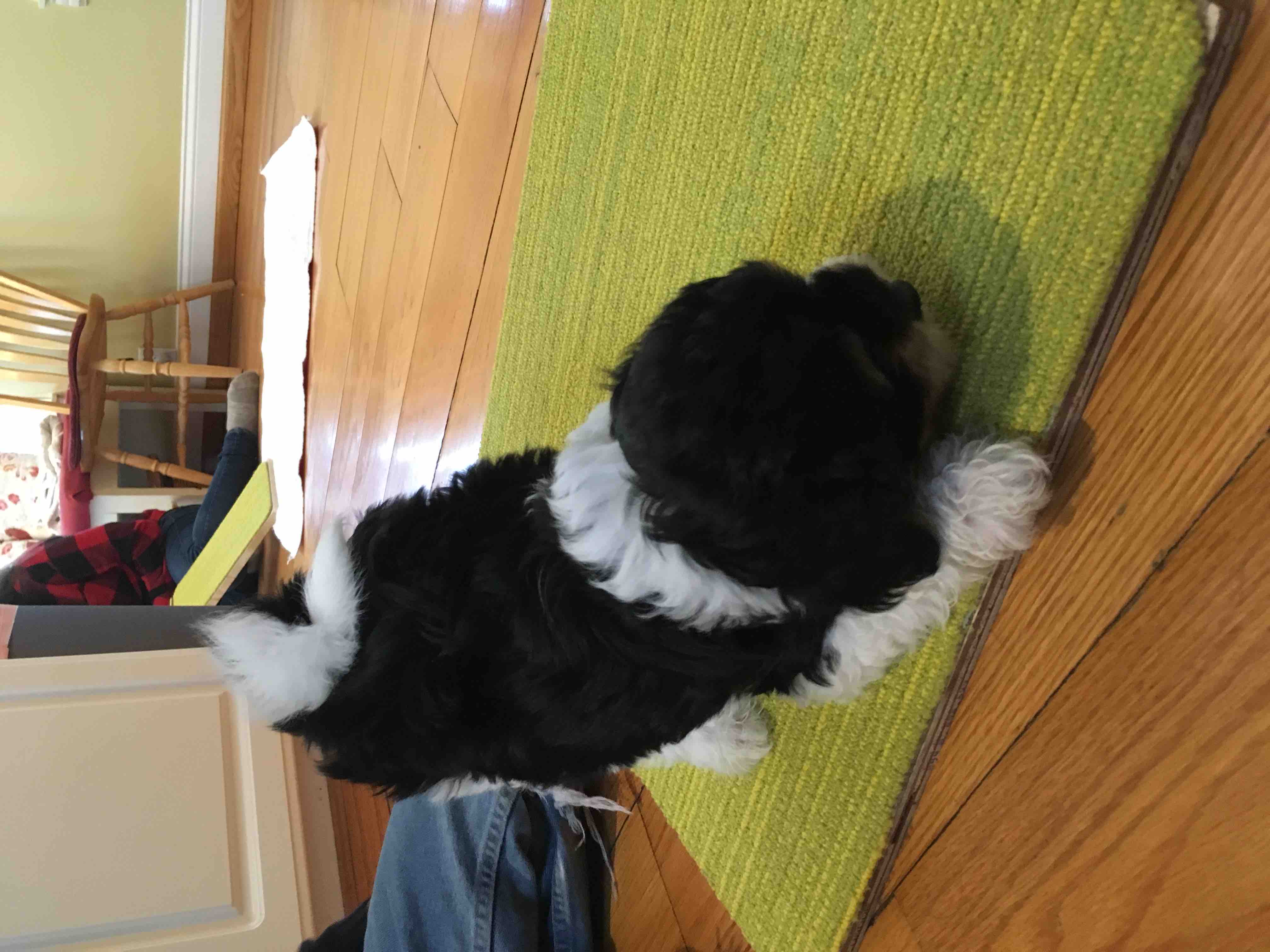 coffee and-coffee-beans